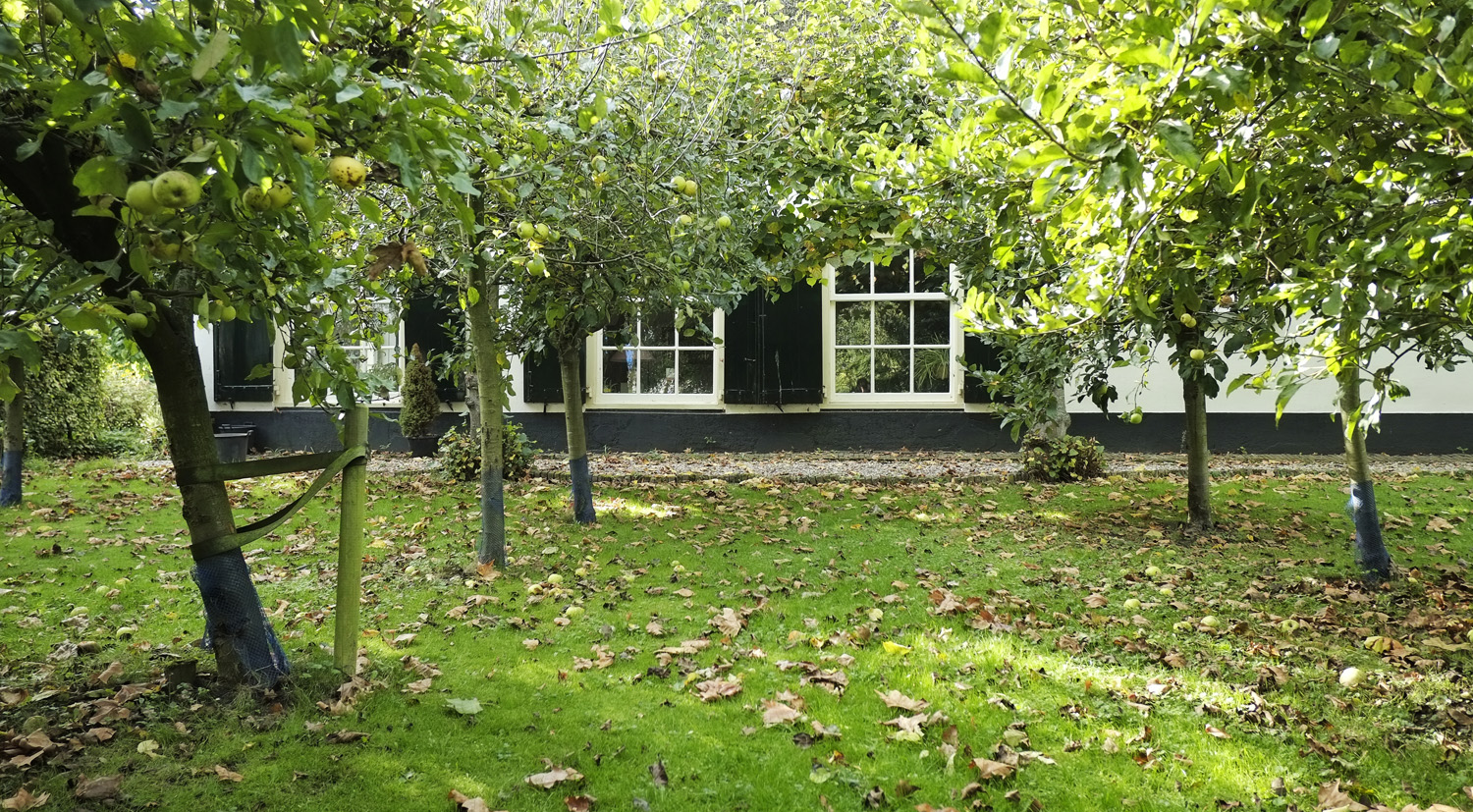 Colmschate – Holterweg 104
